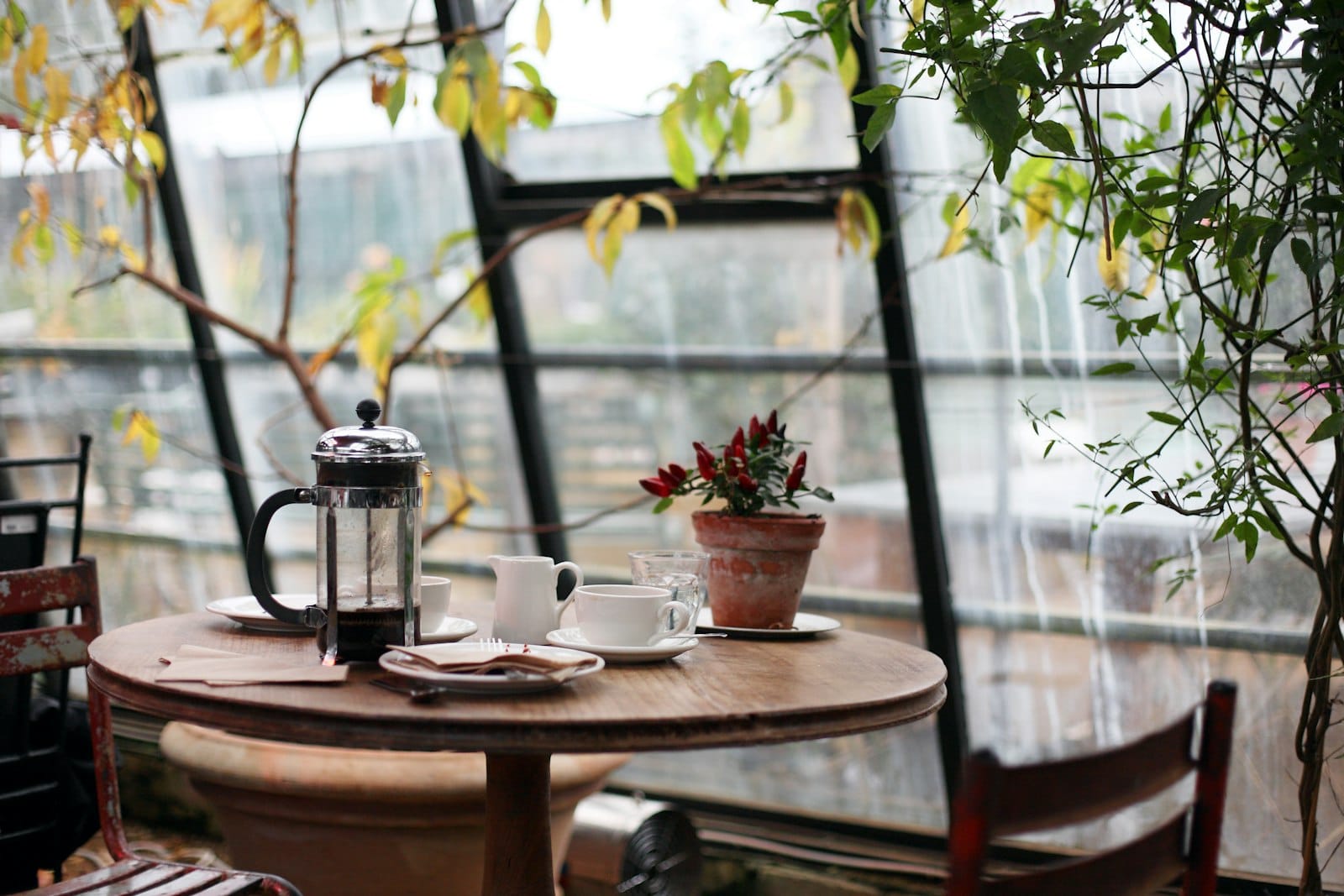 Greenhouse seating filled with plants